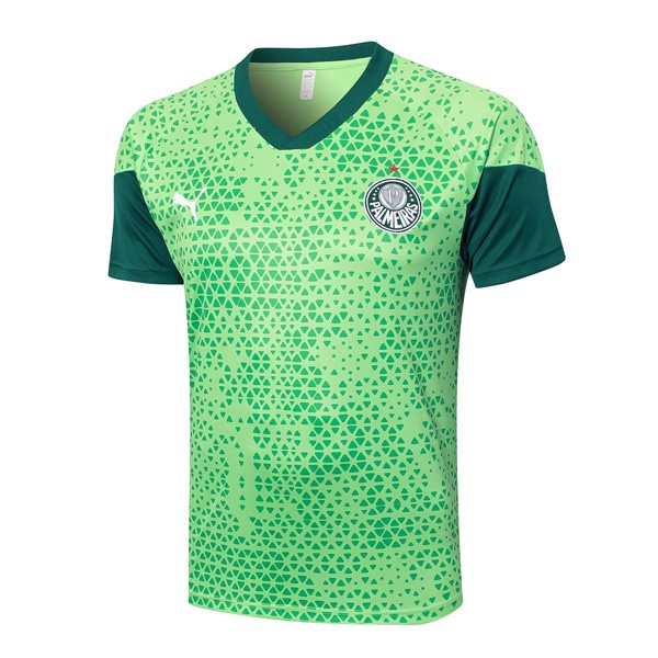 Camiseta Entrenamiento Palmeiras 2024-25 Verde